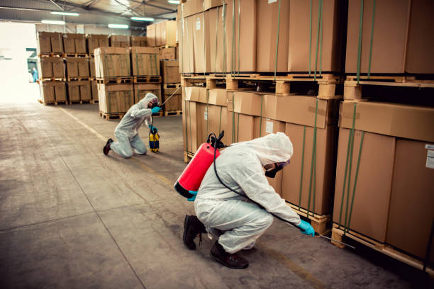 Best Local Pest Control Services  in Marsing, ID