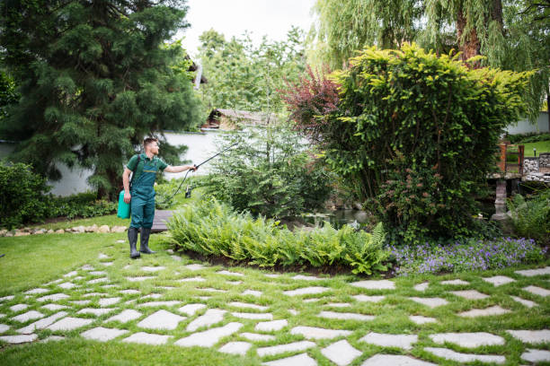 Best Wasp Removal Services  in Marsing, ID
