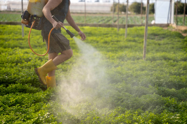 Best Exterminator Services  in Marsing, ID